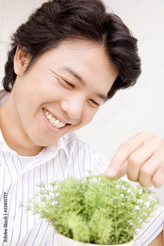 植物をいじるビジネスマン 植物をいじるビジネスマン