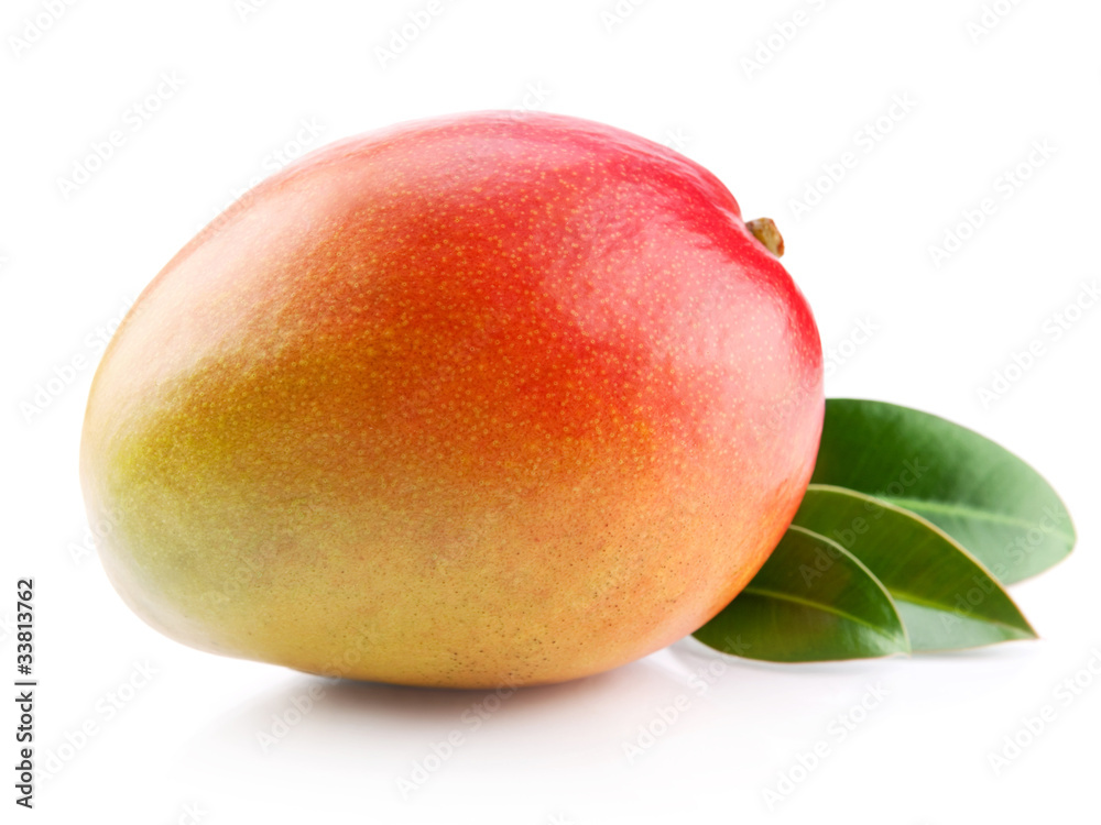 mango fruit isolated on white background mango fruit isolated on white background