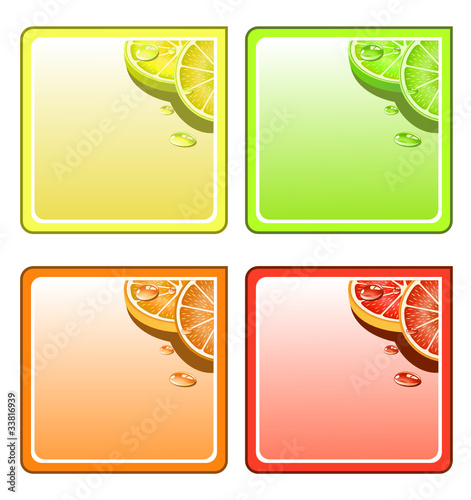 Fruit collage vector coaster set photo