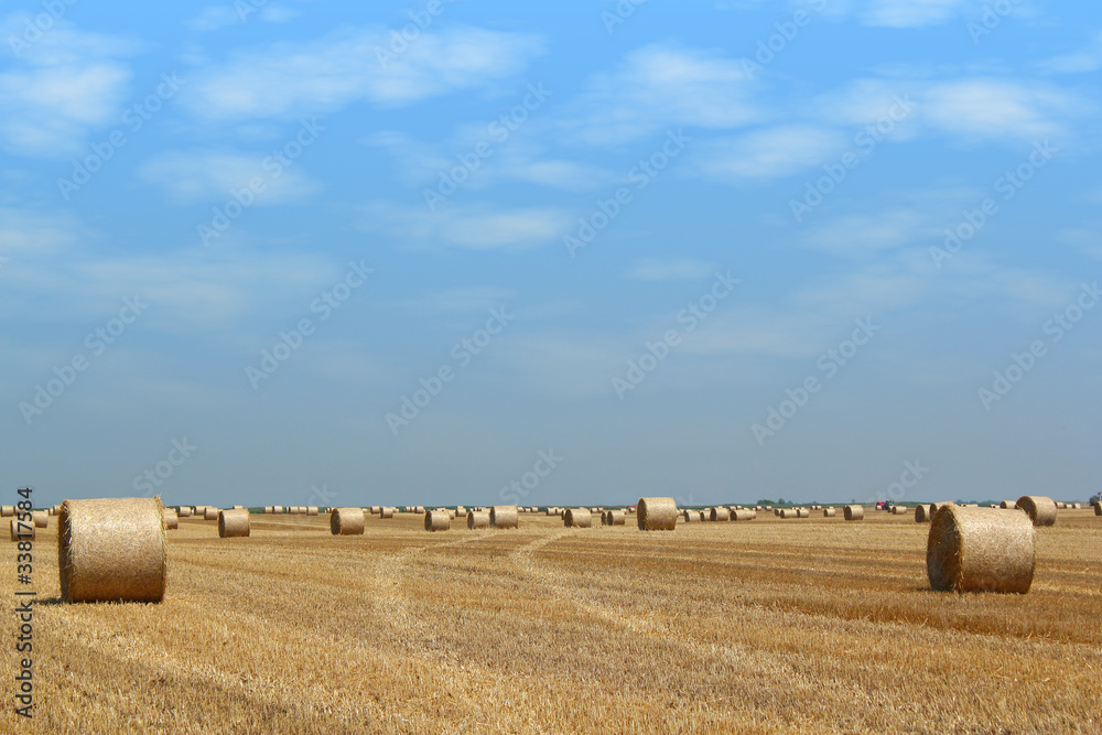 field with straw bales