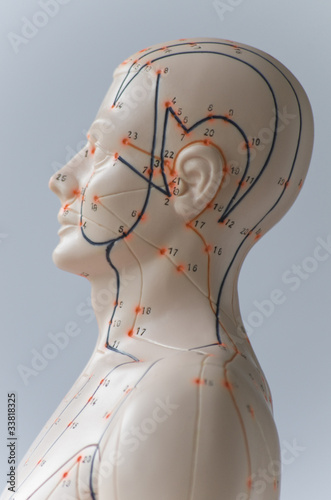 Fototapeta Naklejka Na Ścianę i Meble -  Akupunktur Modell