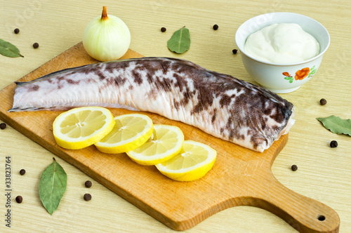 Foto Burbot fish