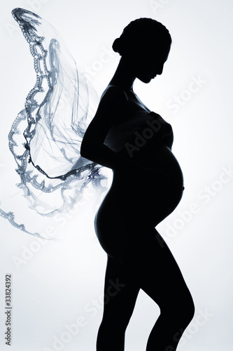 Beautiful silhouette of pregnant woman