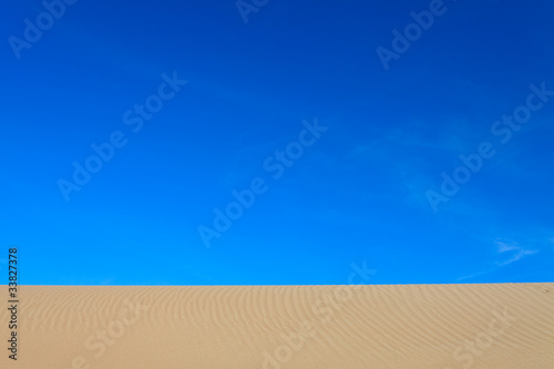 Bird footprint in the sand