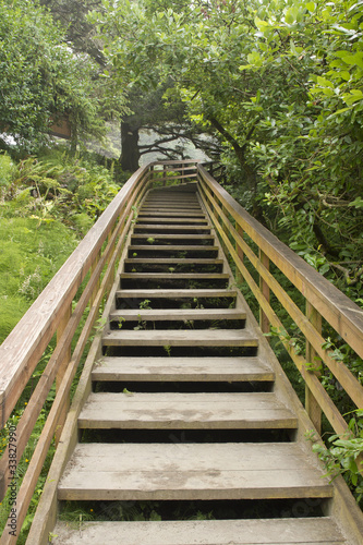 Fototapeta Naklejka Na Ścianę i Meble -  Wooden Stairs at Hiking Trail Vertical