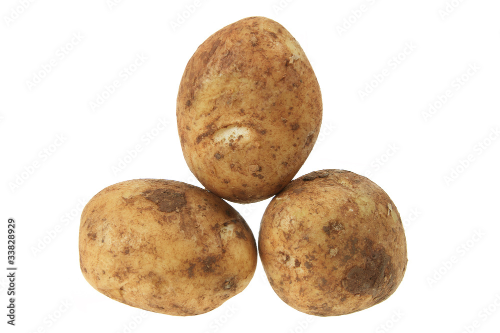 Fototapeta premium Potatoes