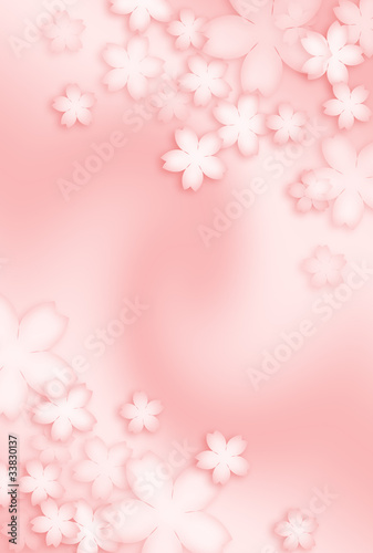 桜の背景 © terumin