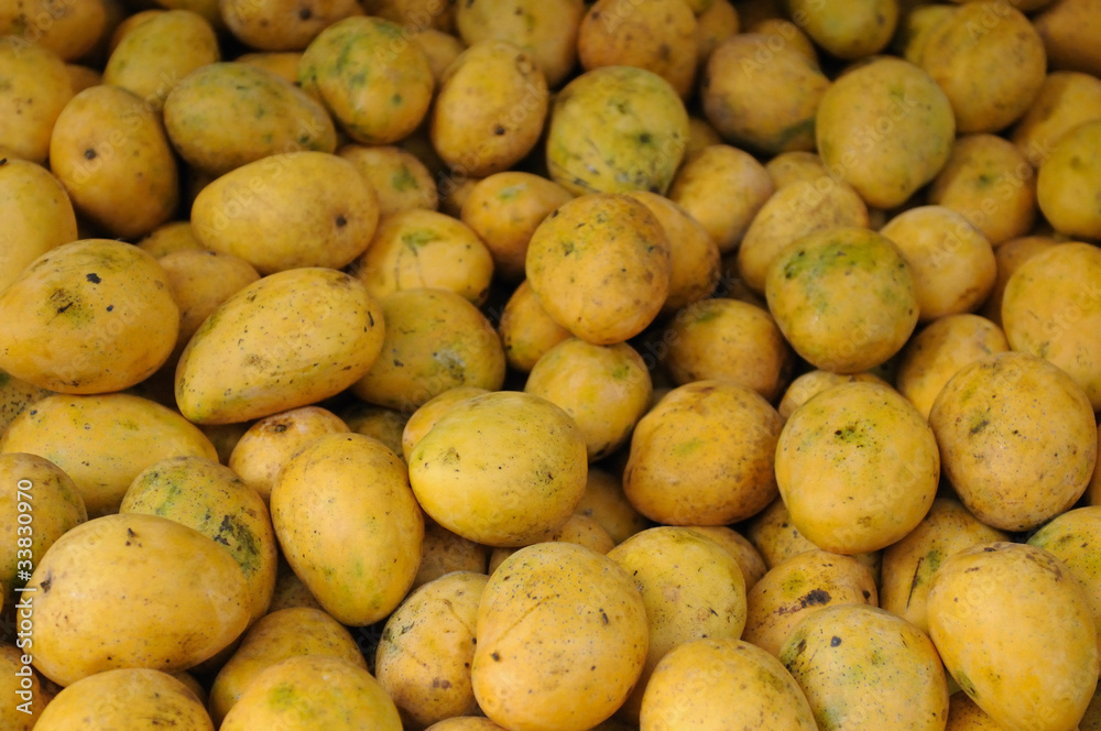 Fresh Mangoes Fresh Mangoes