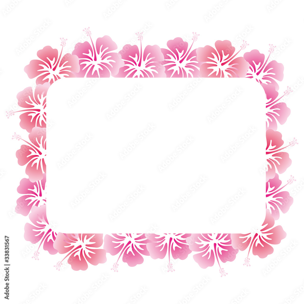 hibiscus frame