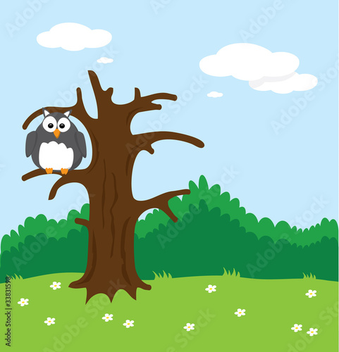 Happy fat owl sitting in a tree in wilderness