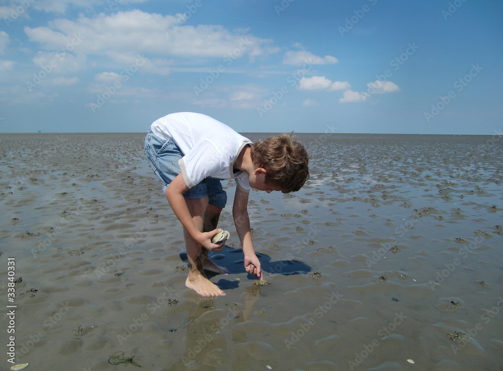 Niedrigwasser im Wattenmeer