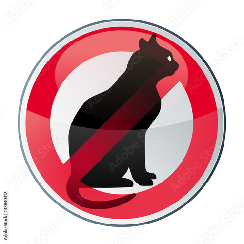 femmes enceintes d'approcher les chats, Toxoplasmose