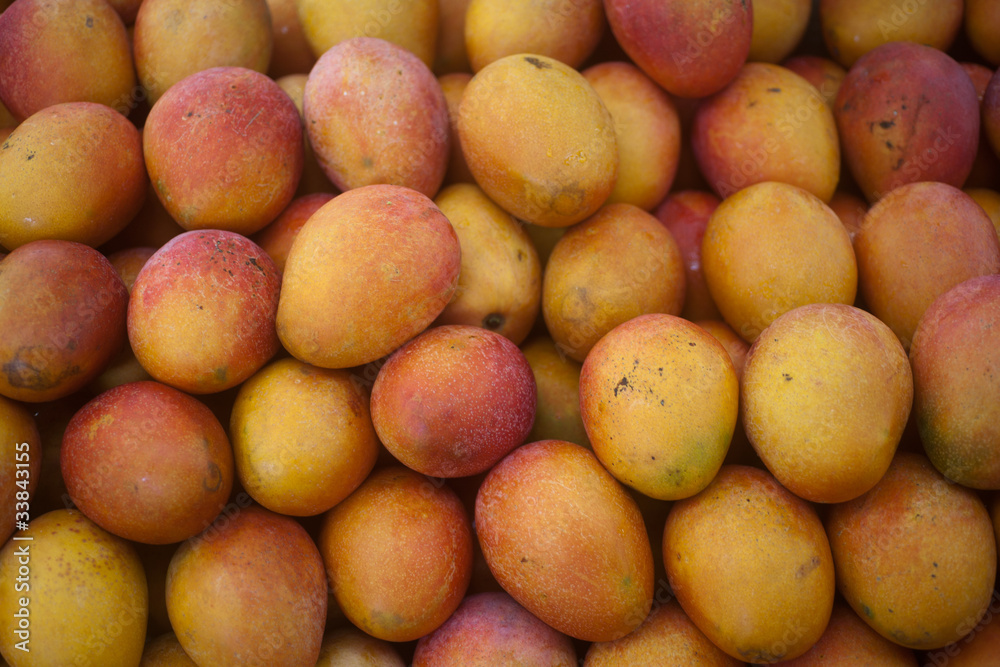 tropical mango tropical mango