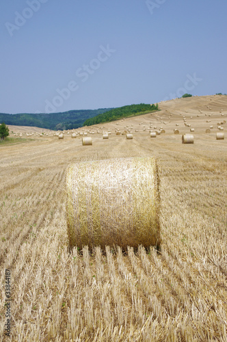 Hay bales