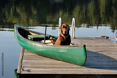 Let's Paddle