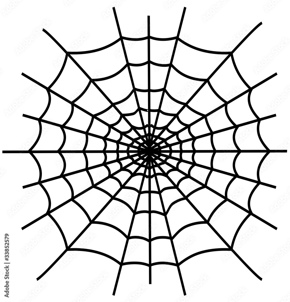 Obraz premium Black spiderweb isolated