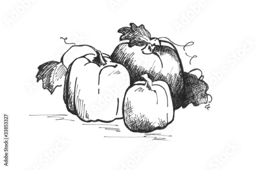 Pumpkins drawn with ink