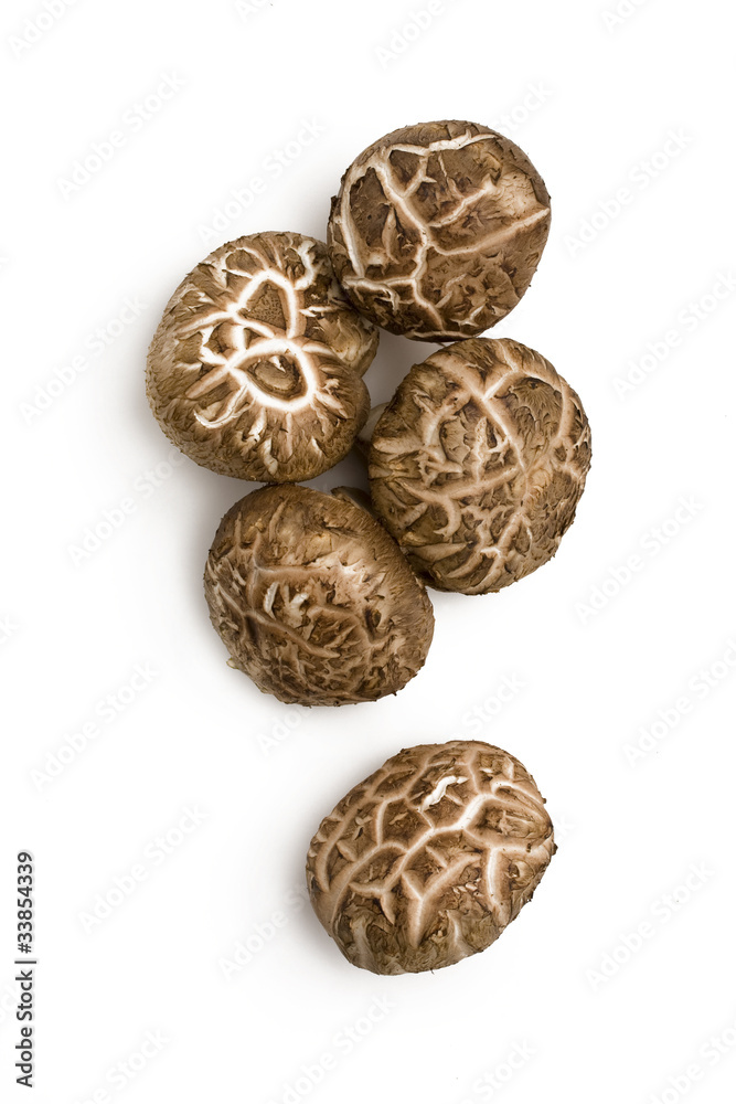 Mushrooms isolated on white Mushrooms isolated on white