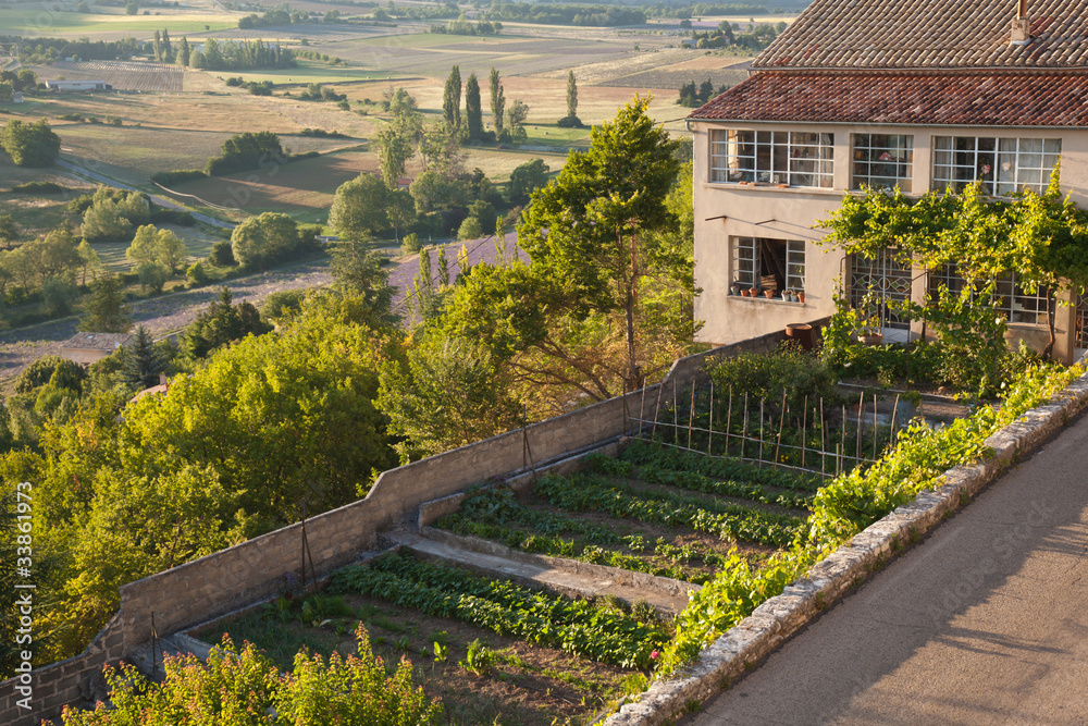 Fototapeta premium Jardin potager