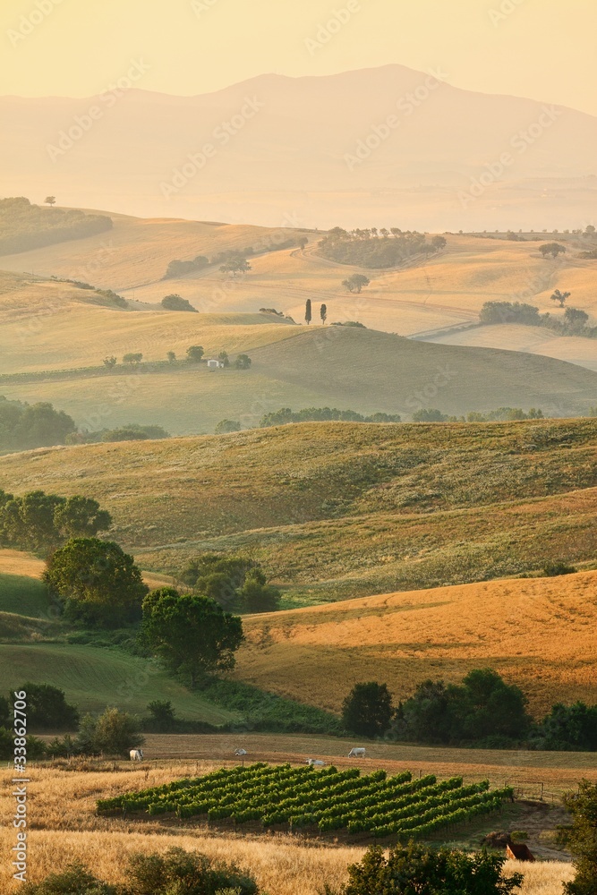Italian countryside in Tuscany