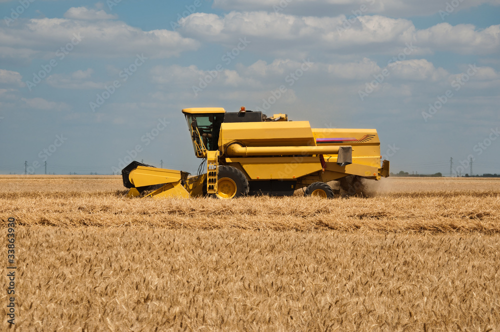 Obraz premium moissonneuse-batteuse