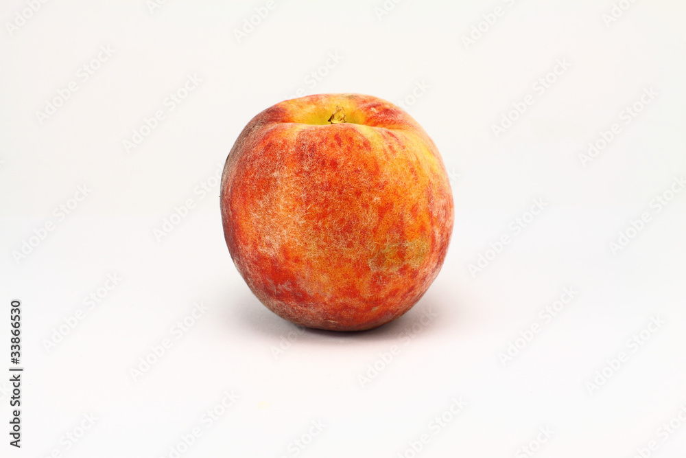 apricot isolated on white background apricot isolated on white background
