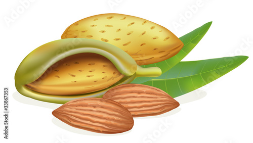Ripe almonds with leaves