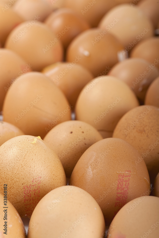 Rows of egg shells. Rows of egg shells.