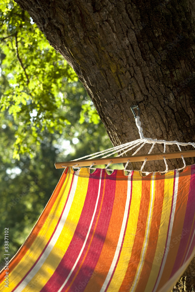 Hamac, repos, détente, sieste, tissu, nature, vacances, arbre Stock Photo |  Adobe Stock
