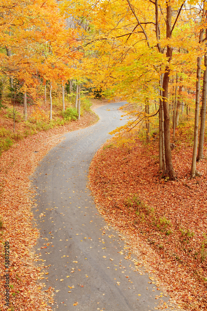 Fototapeta premium Winding alley in fall