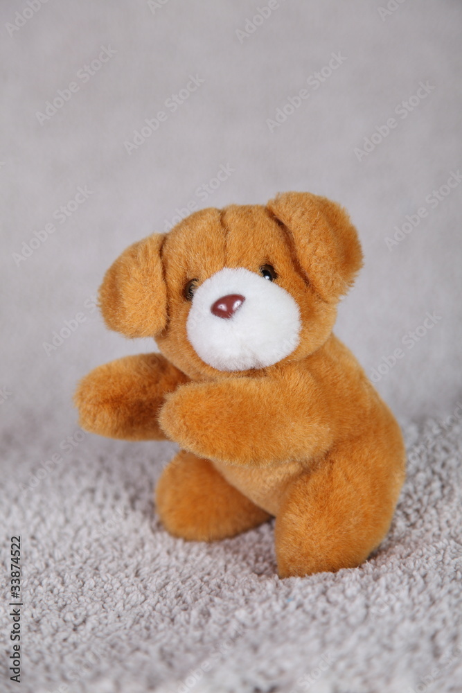 Fototapeta premium ours en peluche