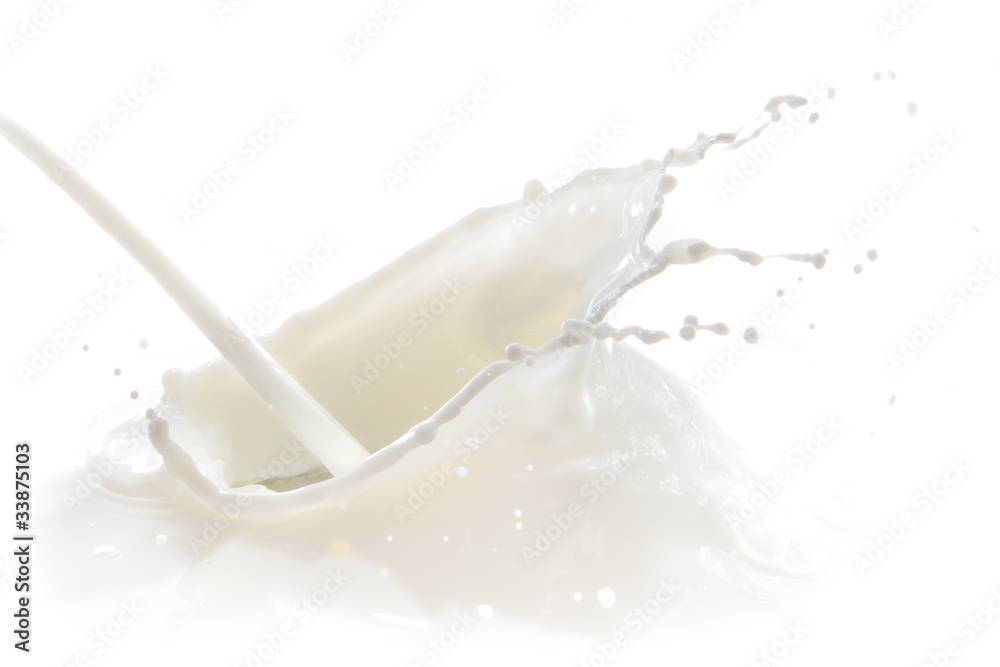 milk splash milk splash