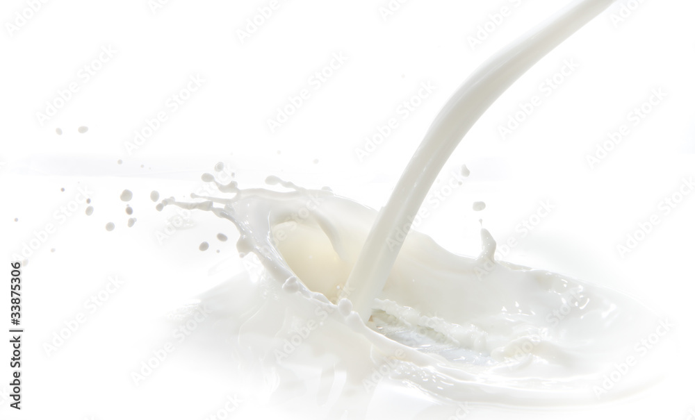 milk splash milk splash