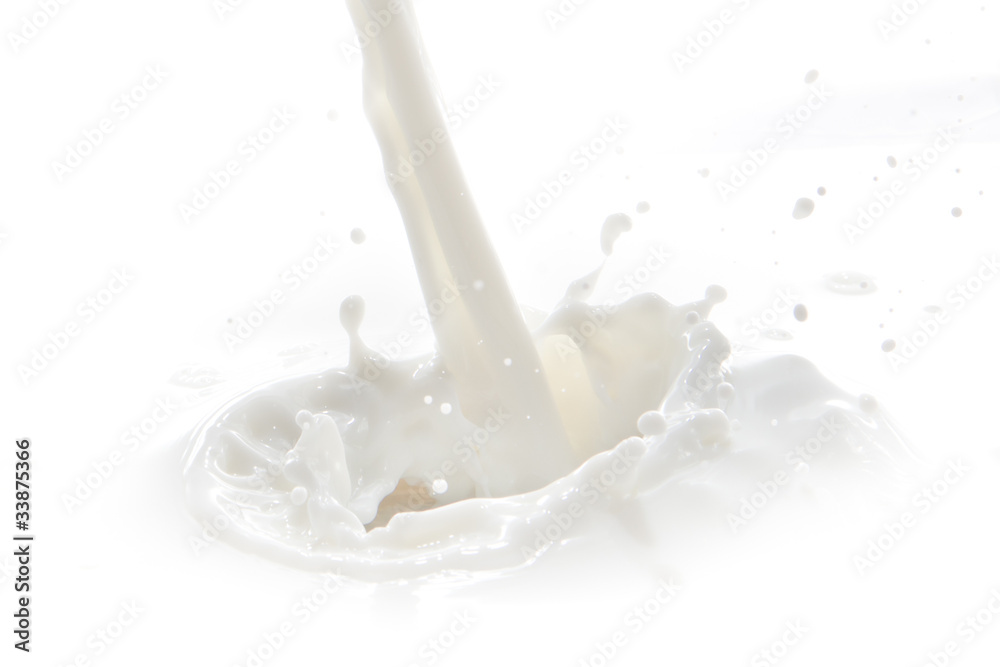 milk splash milk splash