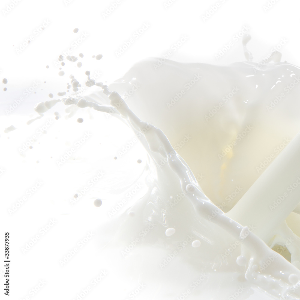 milk splash milk splash