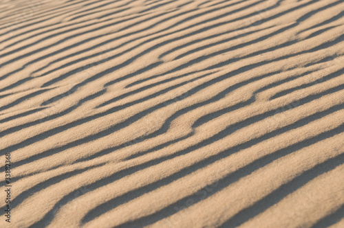 Sand dune texture