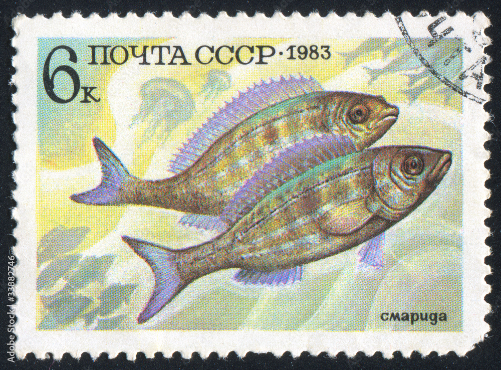 Naklejka premium poststamp fish