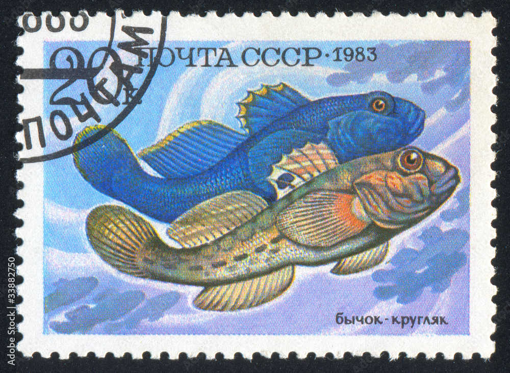 Naklejka premium poststamp fish