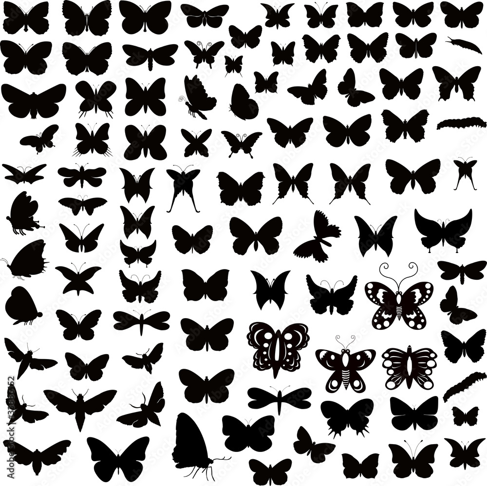 Butterflies Silhouettes Designs Collection Butterflies Silhouettes Designs Collection