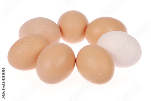 Sevent eggs. One egg white. photo
