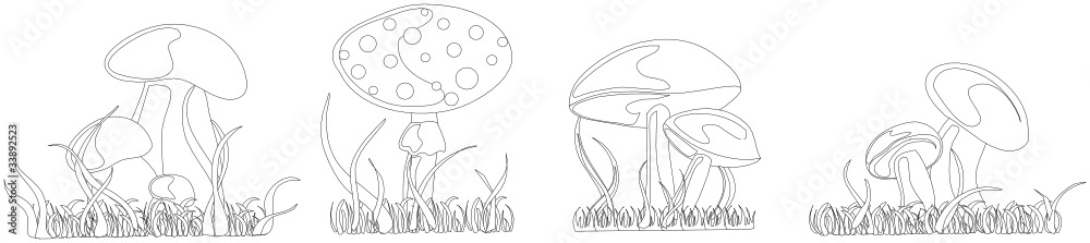 pilze outlines pilze outlines
