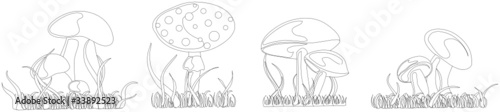 pilze outlines