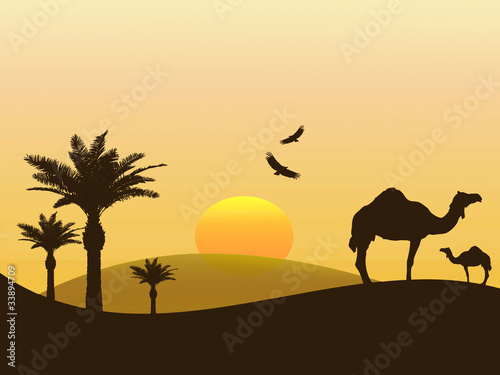Ilustração sobre África - camelos no deserto photo