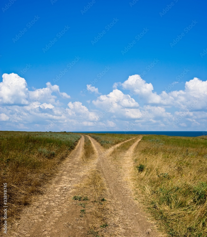 steppe road