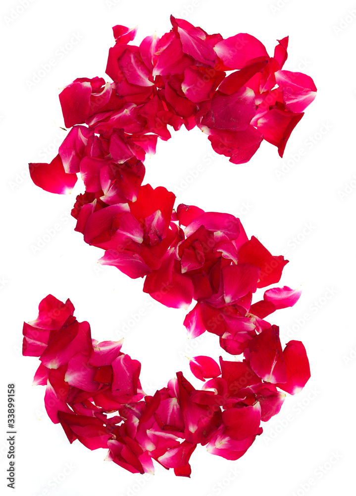 Pink rose petals forming letter S Stock Photo | Adobe Stock