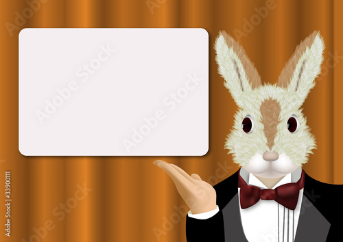 Rabbit Information