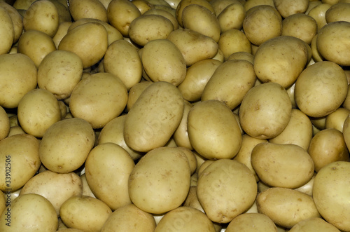Ernte-Kartoffel