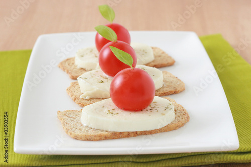 Toasts with cheese mozzarella and tomatos