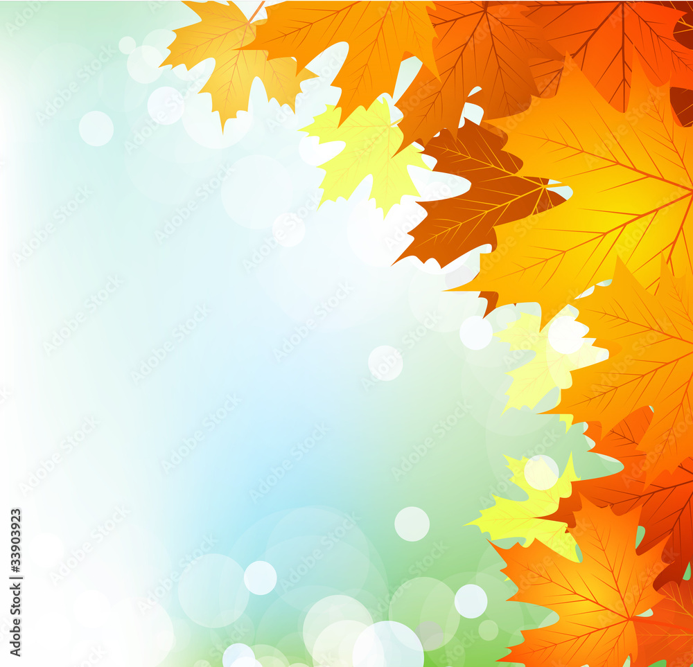 Vector autumn leaves on a bright sunny background Vector autumn leaves on a bright sunny background
