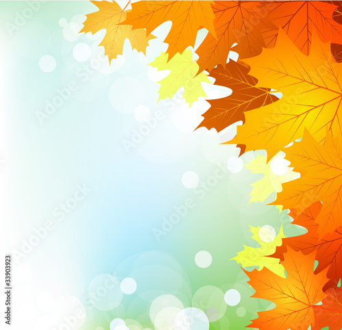 Vector autumn leaves on a bright sunny background